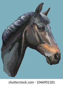Colored portrait of black Trakehner horse. Horse head in profile isolated vector hand drawing illustration on blue background