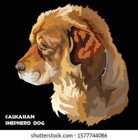 Colored portrait of Caucasian Shepherd Dog isolated vector realistic illustration on black background