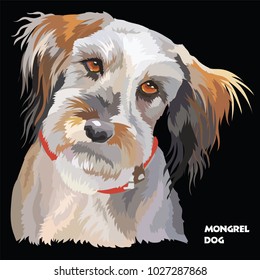Colored portrait of Fluffy mongrel dog isolated vector illustration on black background