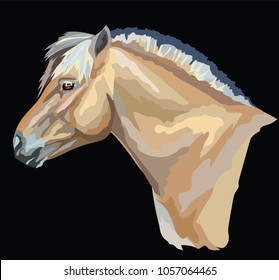 Colored portrait of  Norwegian fjord pony. Horse head with long mane in profile isolated vector illustration on black background