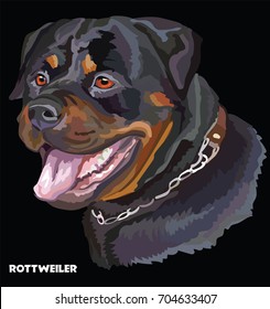 Colored portrait of Rottweiler isolated vector illustration on black background