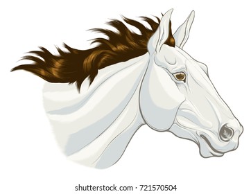 Colored portrait of a running horse. Head of a grizzle stallion with dark brown mane fluttering on wind. Vector clip art placed on a white background. Decoration element of the goods for horse lovers.