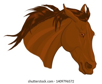 Colored portrait of a wary sorrel stallion. Vector clip art head of a running steed. Design element for equestrian goods, racecourses and stud farms.