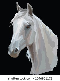 Colored portrait of white Arabian horse. Horse head  in profile  isolated vector illustration on black background