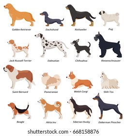 Perros de perfil coloreado conjunto con gato de remolino dorado de remolino de remolino de remolinos Russell terrier y otras razas ilustraciones vectoriales