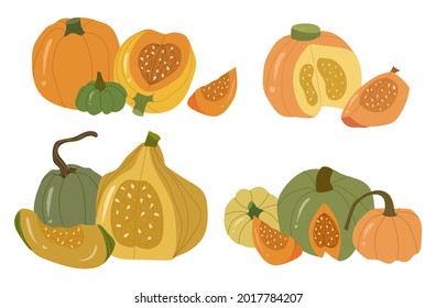Colored pumpkin compositions, autumn vegetable whole and slice.