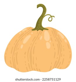 Colored pumpkin hand drawn vector graphic illustration. Colorful drawing autumn vegetable whole, slice and halves isolated on white background. Seasonal fresh plant bundle.