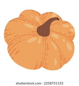 Colored pumpkin hand drawn vector graphic illustration. Colorful drawing autumn vegetable whole, slice and halves isolated on white background. Seasonal fresh plant bundle.