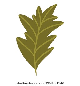 Ilustración gráfica vectorial de hoja de calabaza coloreada. Dibujo colorido vegetal de otoño entero, rodajas y mitades aisladas en fondo blanco. Conjunto estacional de plantas frescas.