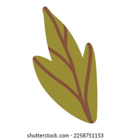 Colored pumpkin leaf hand drawn vector graphic illustration. Colorful drawing autumn vegetable whole, slice and halves isolated on white background. Seasonal fresh plant bundle.