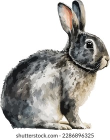 Colored Rabbit Vector, Print, Illustration