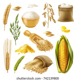 Colored and realistic cereals icon set with wheat rice barley oat corn vector illustration