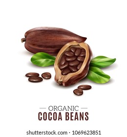 Colored realistic cocoa composition with organic cacao bean headline and broken beans vector illustration