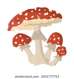 Colored realistic mushroom Vector illustration