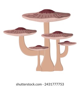 Colored realistic mushroom Vector illustration