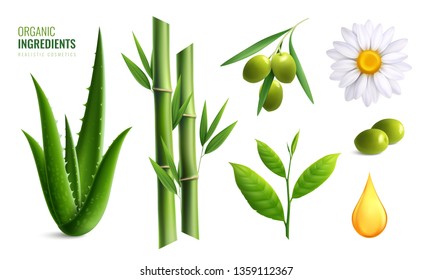 Colored realistic organic cosmetics ingredients icon set with aloe olive oil bamboo chamomile vector illustration