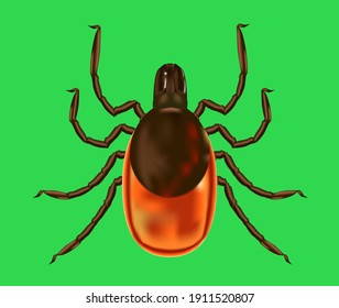 Ilustración vectorial de encefalitis realistas y coloreada sobre un fondo verde. Opción para usar literatura médica.