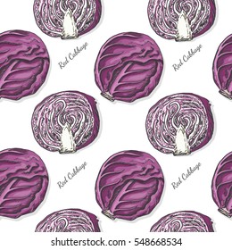Colored red cabbage in sketch style. Vector illustration for your design