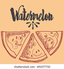 colored  red slice of striped watermelon  with black seeds, style vector illustration isolated on background with lettering.cartoon hand drawing of sliced watermelon