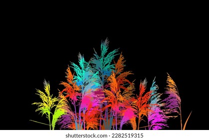 Colored reeds in watercolor on a black background. Vector illustration