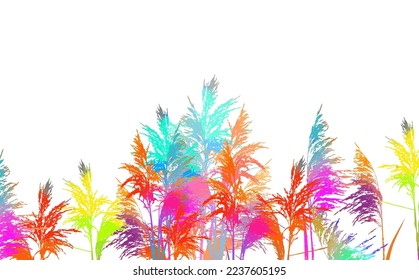 Colored reeds in watercolor on a white background. Vector illustration