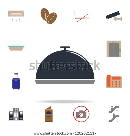 colored restaurant tray icon. web icons universal set for web and mobile
