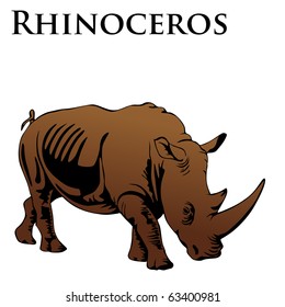 colored rhinoceros vector illustration