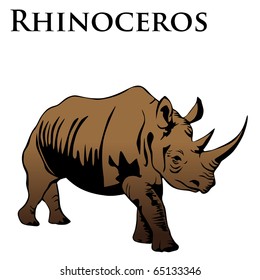 colored rhinoceros vector illustration