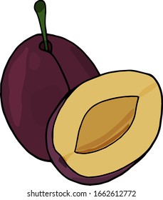 Pleno maduro coloreado como elemento dibujado a mano de diseño. 