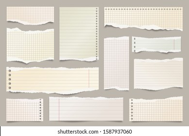 Colored ripped lined paper strips collection. Realistic paper scraps with torn edges. Sticky notes, shreds of notebook pages. Vector illustration.