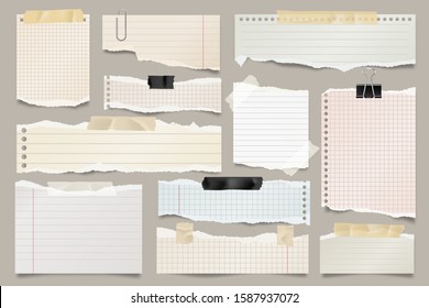 Colored ripped lined paper strips collection. Realistic paper scraps with torn edges and adhesive tape. Sticky notes, shreds of notebook pages. Vector illustration.