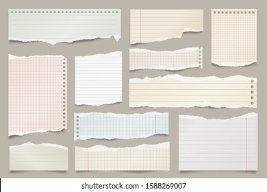 Colored ripped lined paper strips collection. Realistic paper scraps with torn edges. Sticky notes, shreds of notebook pages. Vector illustration.