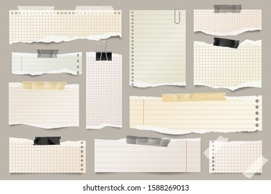 Colored ripped lined paper strips collection. Realistic paper scraps with torn edges and adhesive tape. Sticky notes, shreds of notebook pages. Vector illustration.