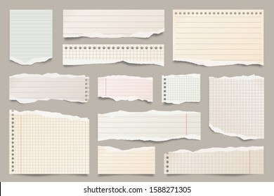 Colored ripped lined paper strips collection. Realistic paper scraps with torn edges. Sticky notes, shreds of notebook pages. Vector illustration.