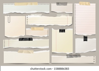 Colored ripped lined paper strips collection. Realistic paper scraps with torn edges and adhesive tape. Sticky notes, shreds of notebook pages. Vector illustration.