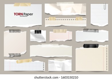Colored ripped lined paper strips collection. Realistic paper scraps with torn edges. Sticky notes, shreds of notebook pages. Vector illustration.