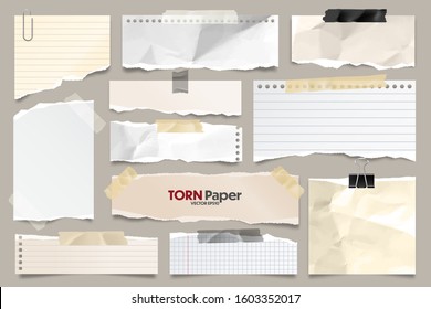 Colored Ripped Lined Paper Strips Collection. Realistic Paper Scraps With Torn Edges. Sticky Notes, Shreds Of Notebook Pages. Vector Illustration.