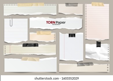 Colored Ripped Lined Paper Strips Collection. Realistic Paper Scraps With Torn Edges. Sticky Notes, Shreds Of Notebook Pages. Vector Illustration.