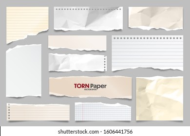 Colored ripped lined paper strips collection. Realistic paper scraps with torn edges. Sticky notes, shreds of notebook pages. Vector illustration.