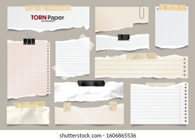 Colored ripped lined paper strips collection. Realistic paper scraps with torn edges. Sticky notes, shreds of notebook pages. Vector illustration.