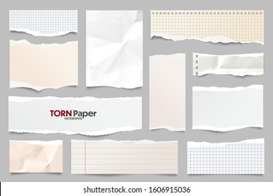 Colored ripped lined paper strips collection. Realistic paper scraps with torn edges. Sticky notes, shreds of notebook pages. Vector illustration.