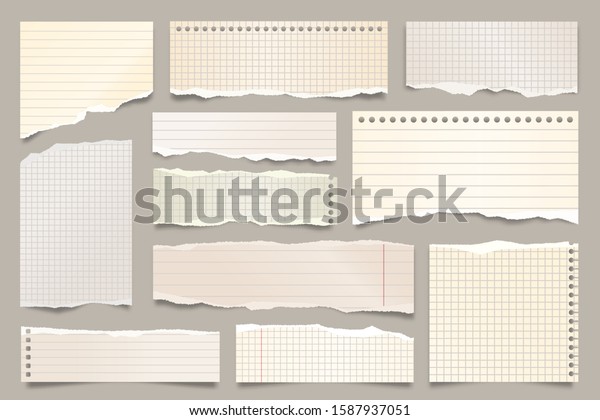 Colored ripped lined paper strips\
collection. Realistic paper scraps with torn edges. Sticky notes,\
shreds of notebook pages. Vector\
illustration.
