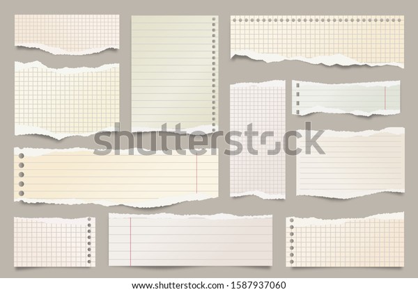 Colored ripped lined paper strips
collection. Realistic paper scraps with torn edges. Sticky notes,
shreds of notebook pages. Vector
illustration.