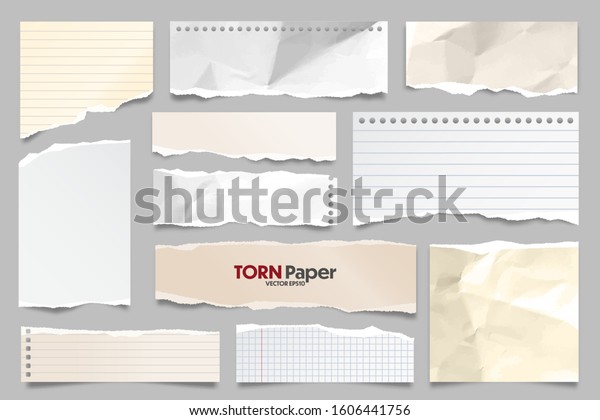 Colored ripped lined paper strips\
collection. Realistic paper scraps with torn edges. Sticky notes,\
shreds of notebook pages. Vector\
illustration.