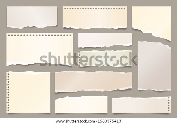 Colored ripped paper strips collection.\
Realistic paper scraps with torn edges. Sticky notes, shreds of\
notebook pages. Vector\
illustration.