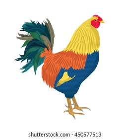 Colored rooster isolated on white background. Flat vector illustration