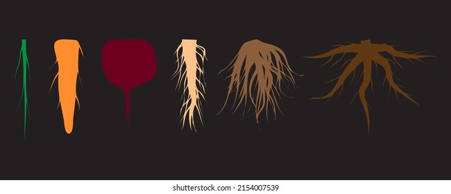 colored roots on a black background. Floral branch. Vector illustration. Stock image.