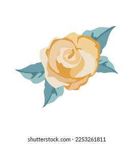 diseño rosa de color sobre blanco