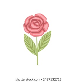 Colored rose drawing, hand drawn vector illustration