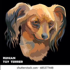 Colored Russian long-haired toy Terrier isolated vector portrait on black background